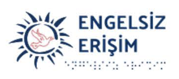 Engelsiz Erişim Derneği